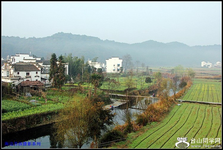 IMG_7070_conew1.jpg