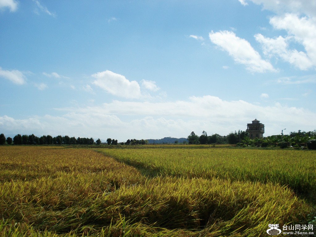 DSC00017.jpg