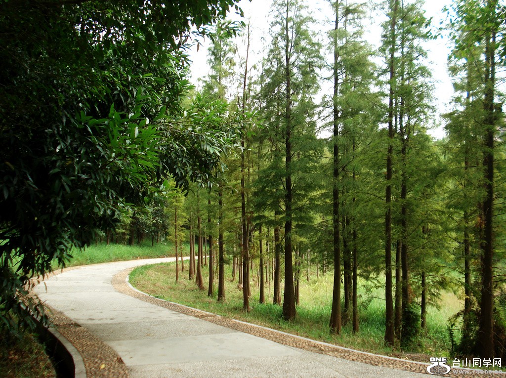 DSC00001.JPG