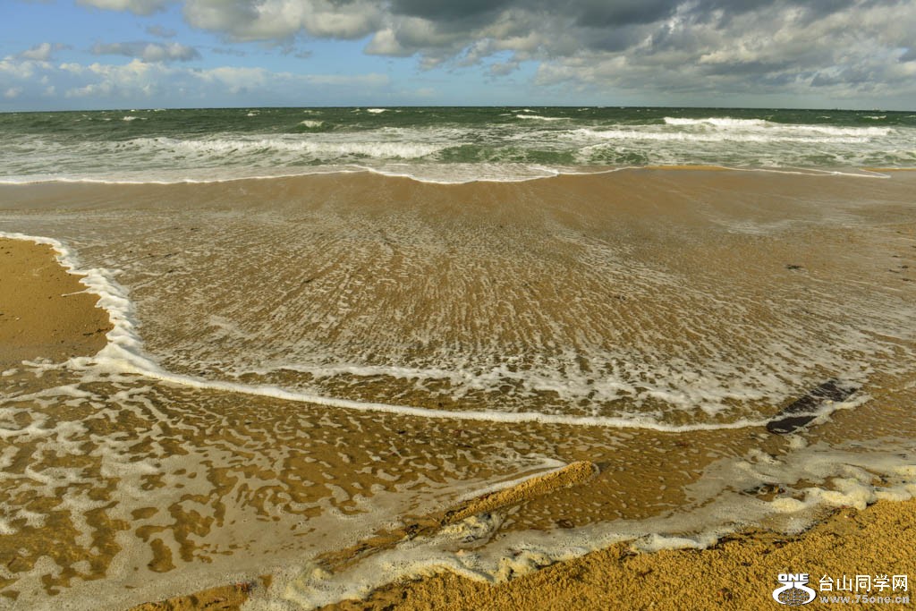 DSC_0463.jpg