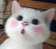 l68.gif