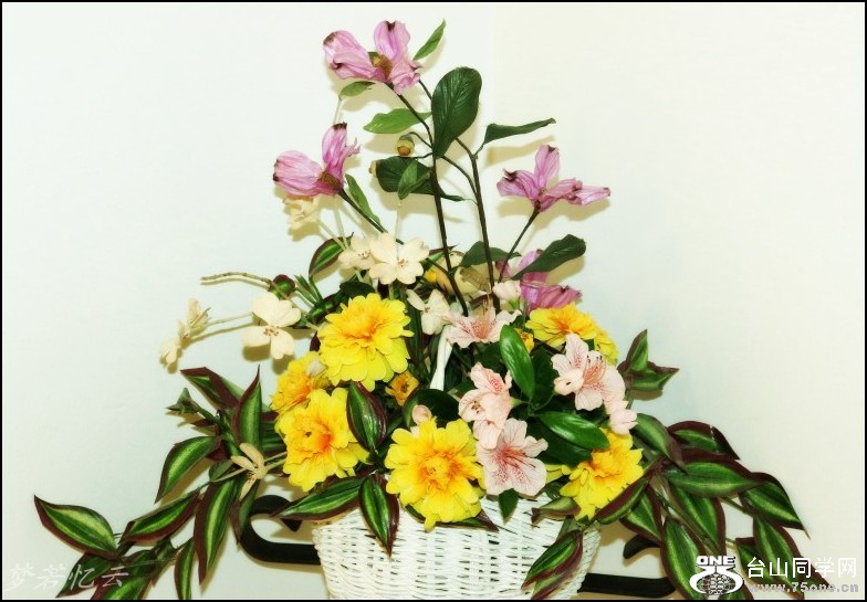 conew_2照片 010_conew1.jpg