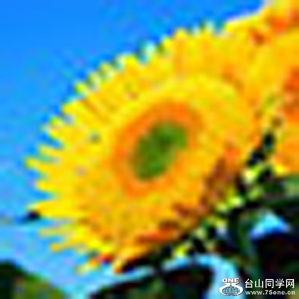 flower.JPG