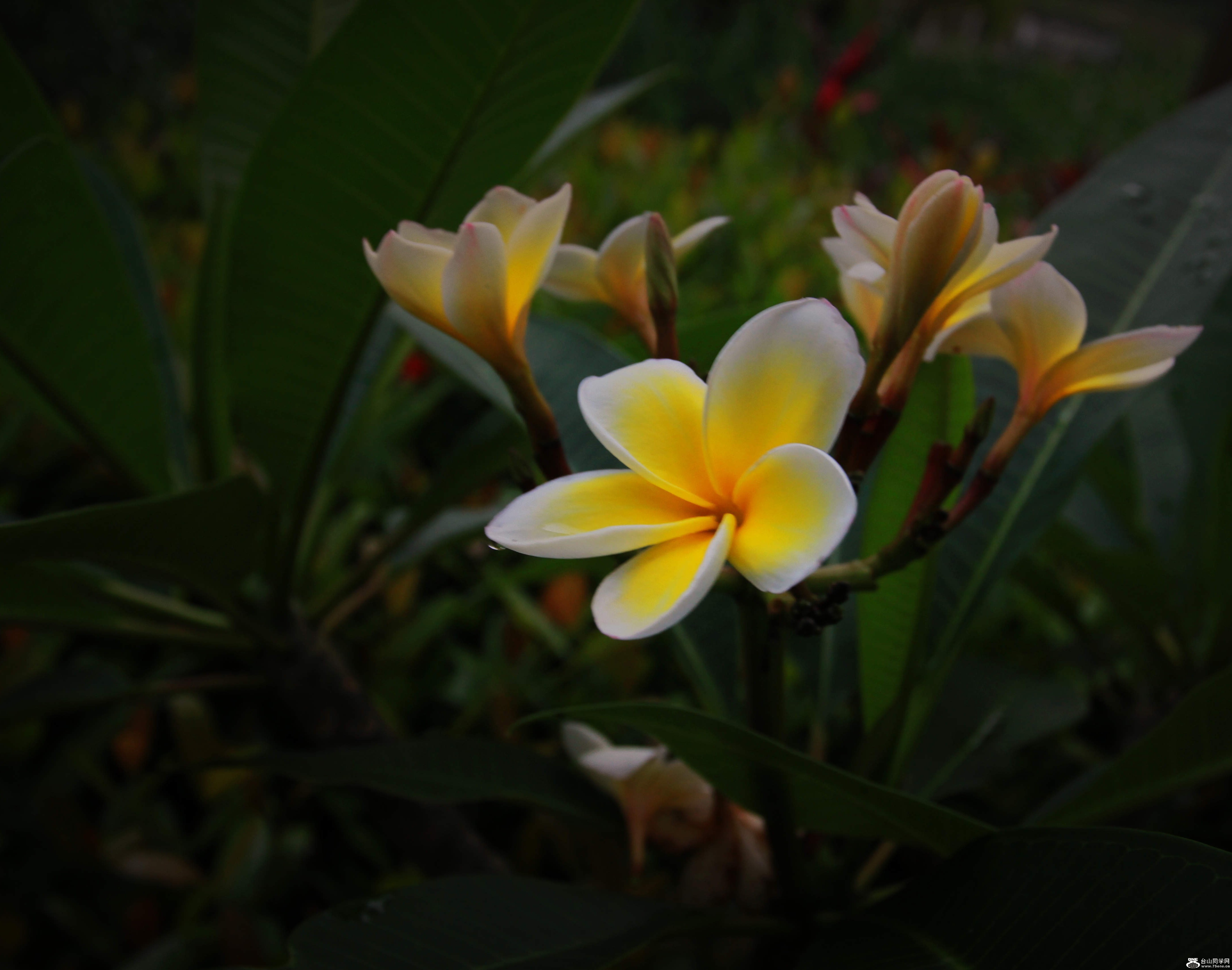 IMG_5708_conew1.jpg