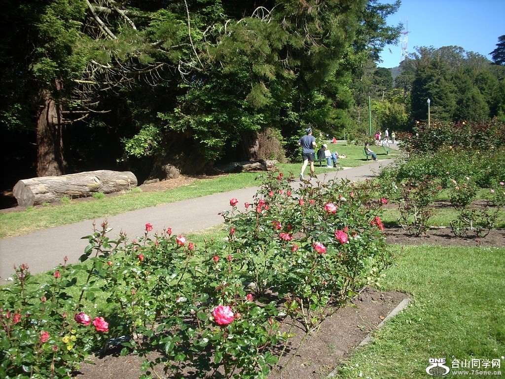 DSCN4637.JPG