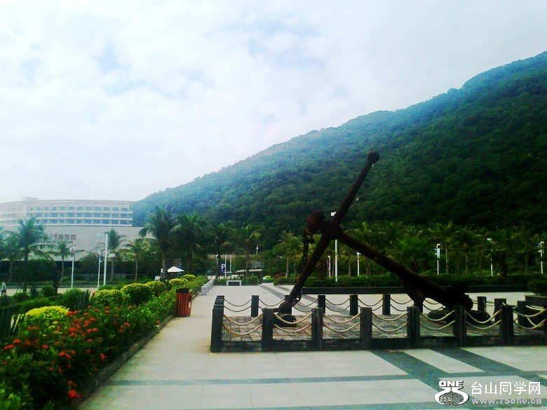 Ƭ0738_conew1.jpg