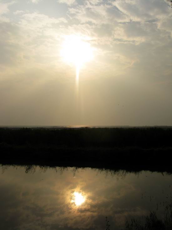 IMG_4949.JPG