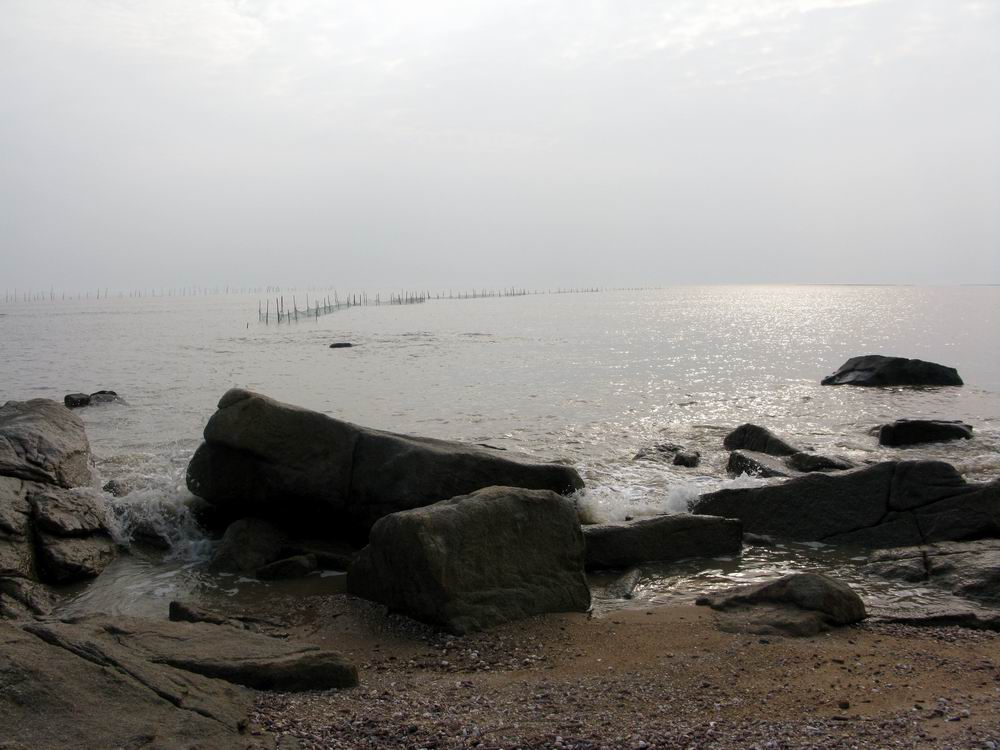 IMG_4878.JPG