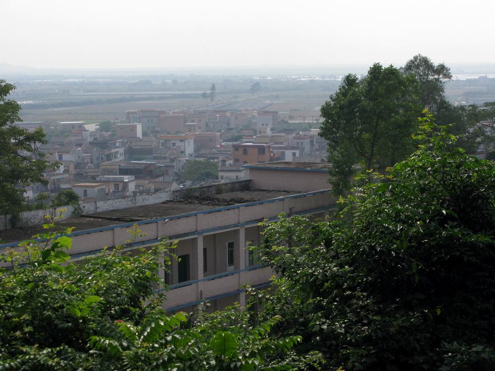 IMG_4686.JPG