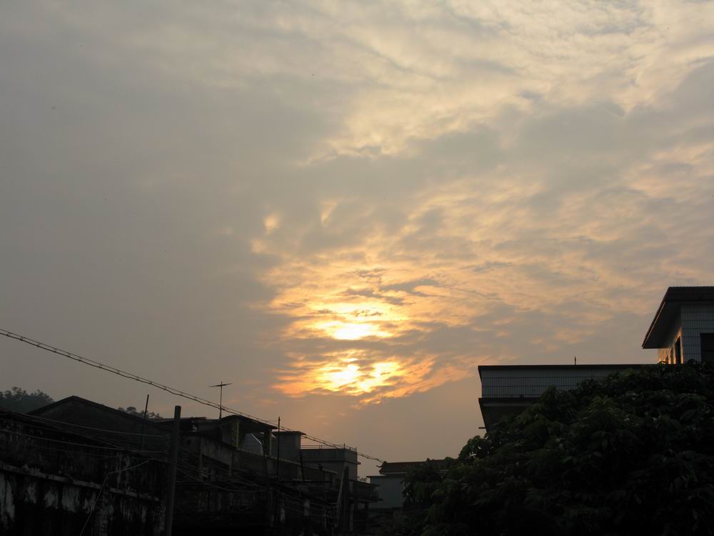 IMG_5014.JPG