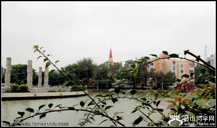 С IMG_8282.JPG