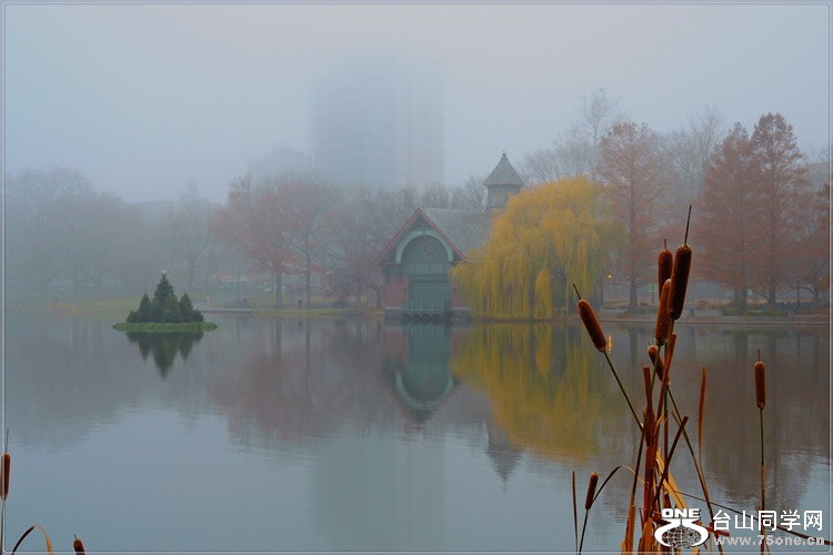 2_35075_fac4200e38758d5.jpg
