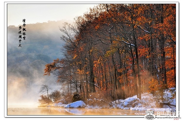 ѩءɫ 140_HZP-1.jpg