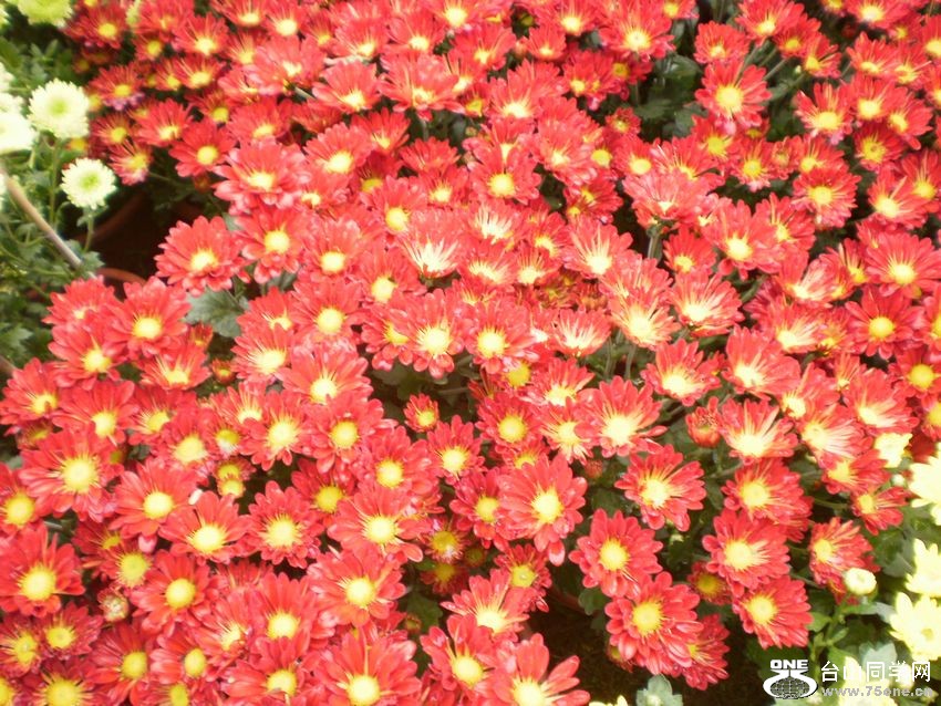 PC020105.jpg