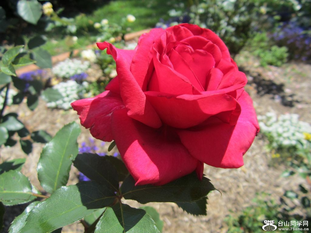 IMG_1876.JPG