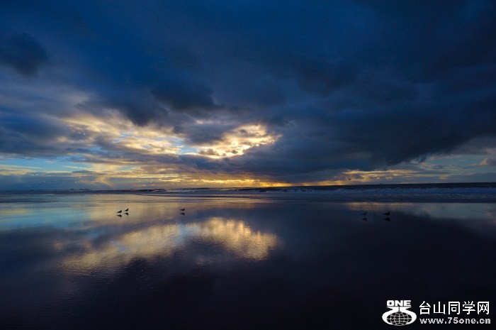DSC_0431_.jpg