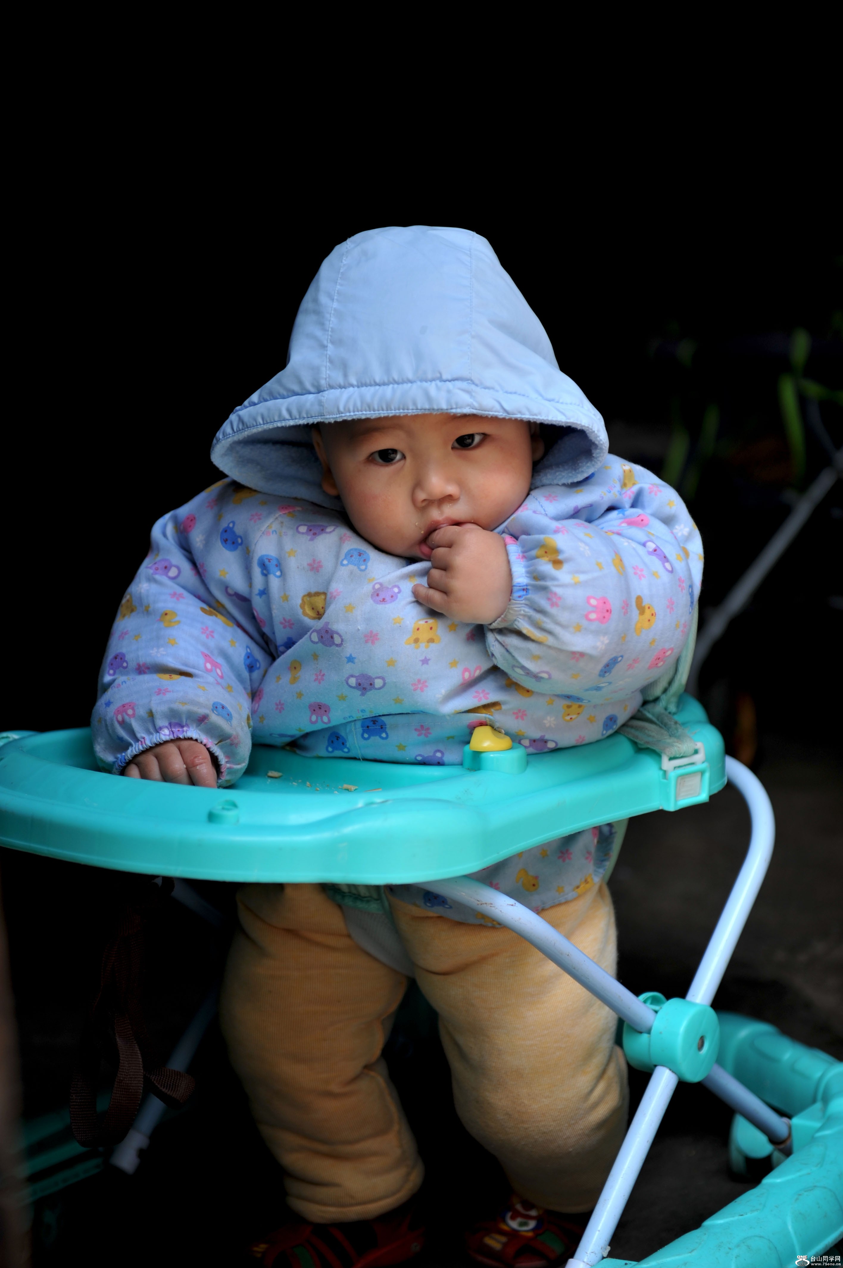 DSC_6981.jpg