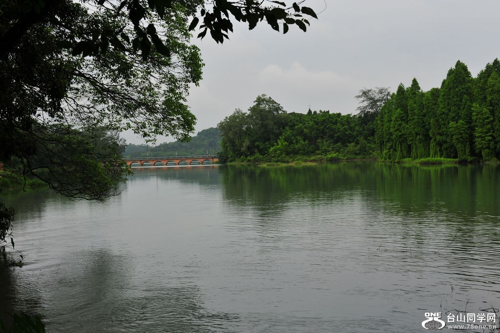 DSC_2612.jpg