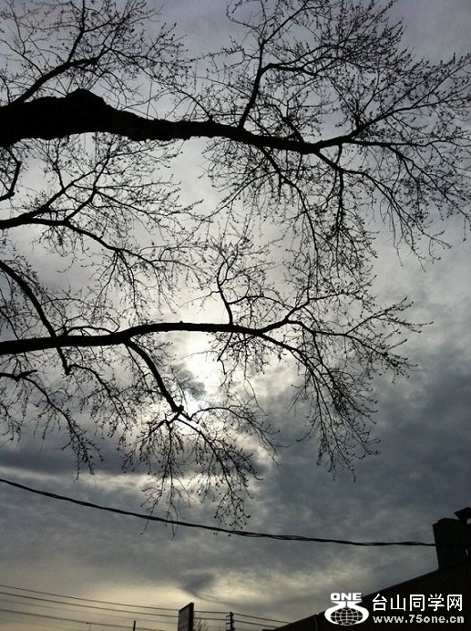 rainny day.jpg
