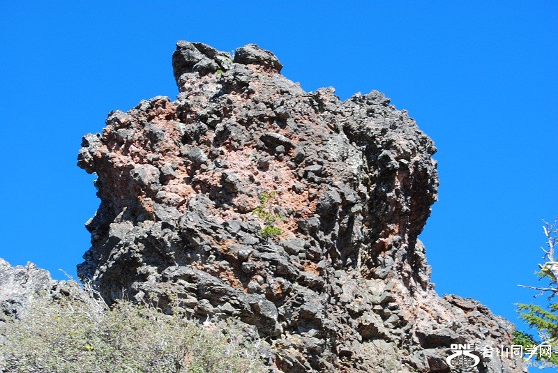 DSC_7364.JPG