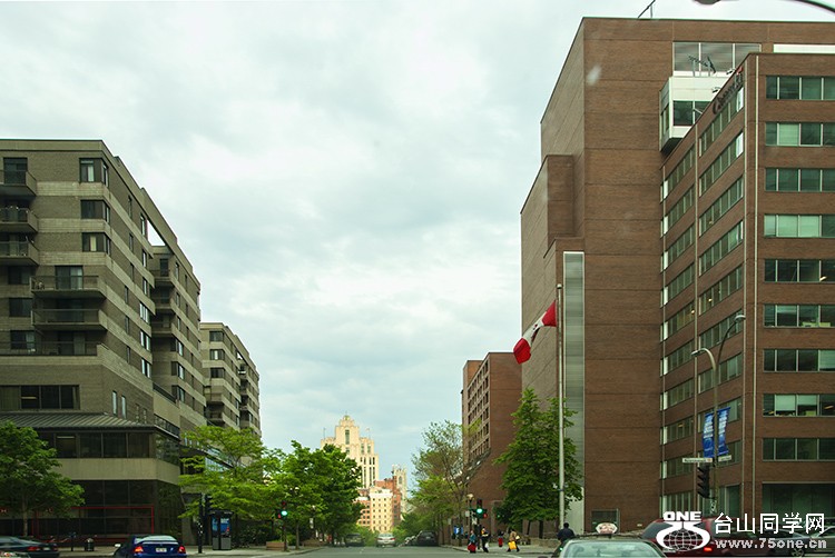 DSC_9426aa.jpg