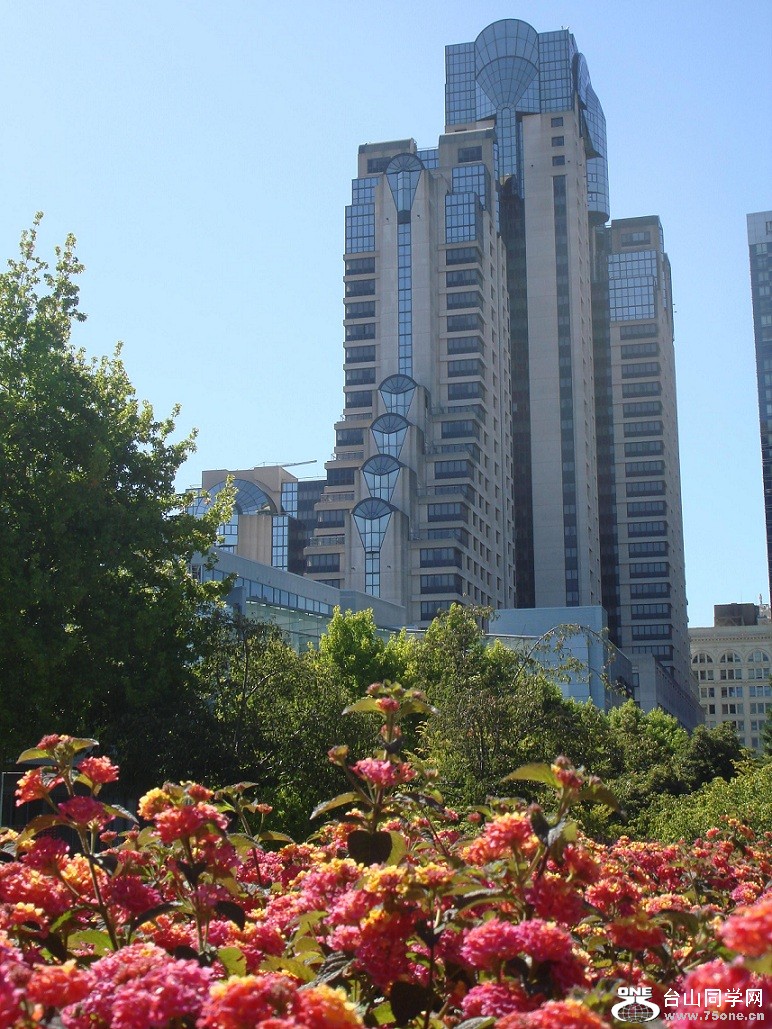 View of San francisco.jpg