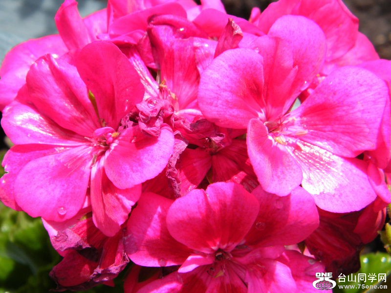 DSCF6509.JPG