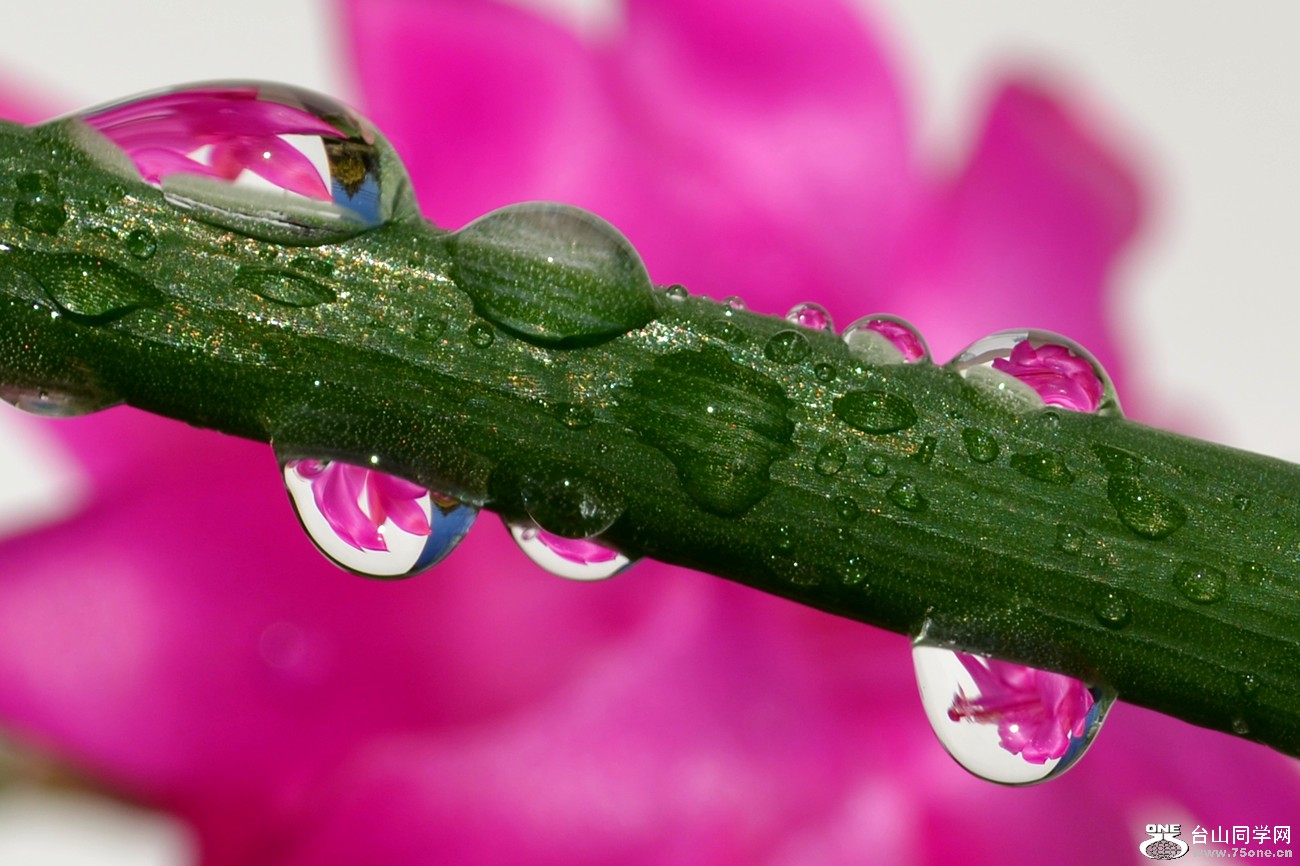 DSC_2353_232.jpg