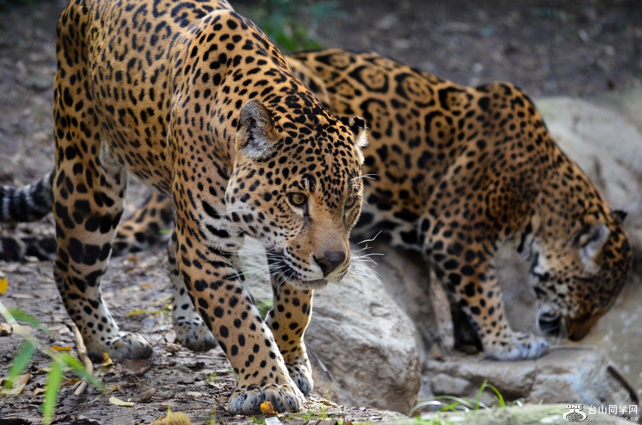DSC_0410_10.jpg