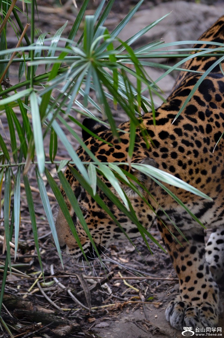 DSC_0380_2.jpg