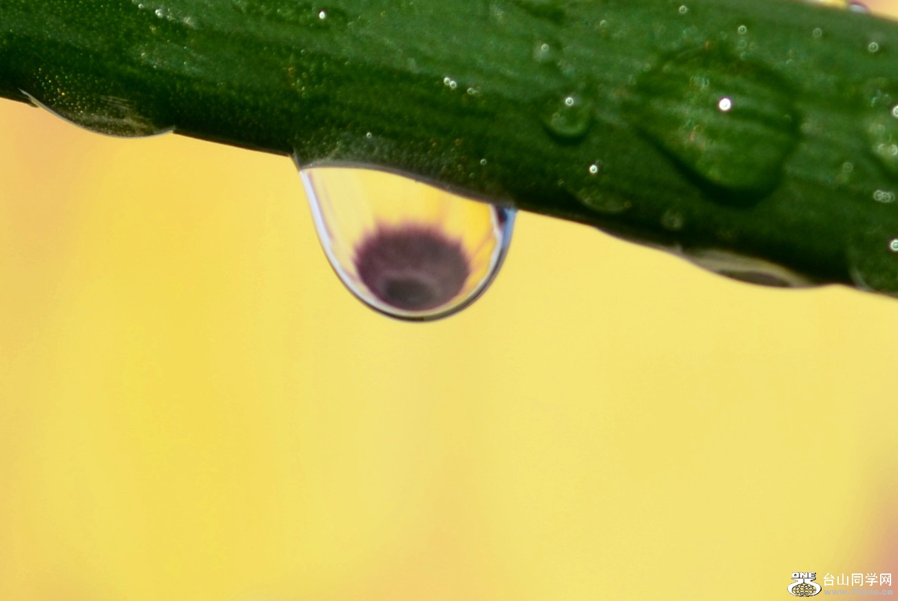 DSC_2419_09.jpg