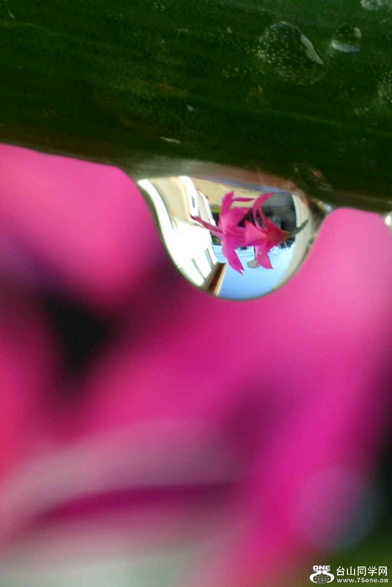 DSC_2864_13.jpg