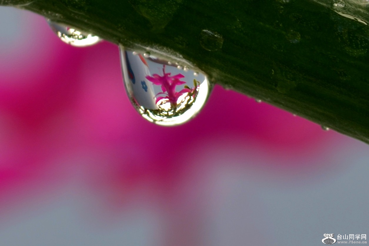 DSC_2268_113.jpg