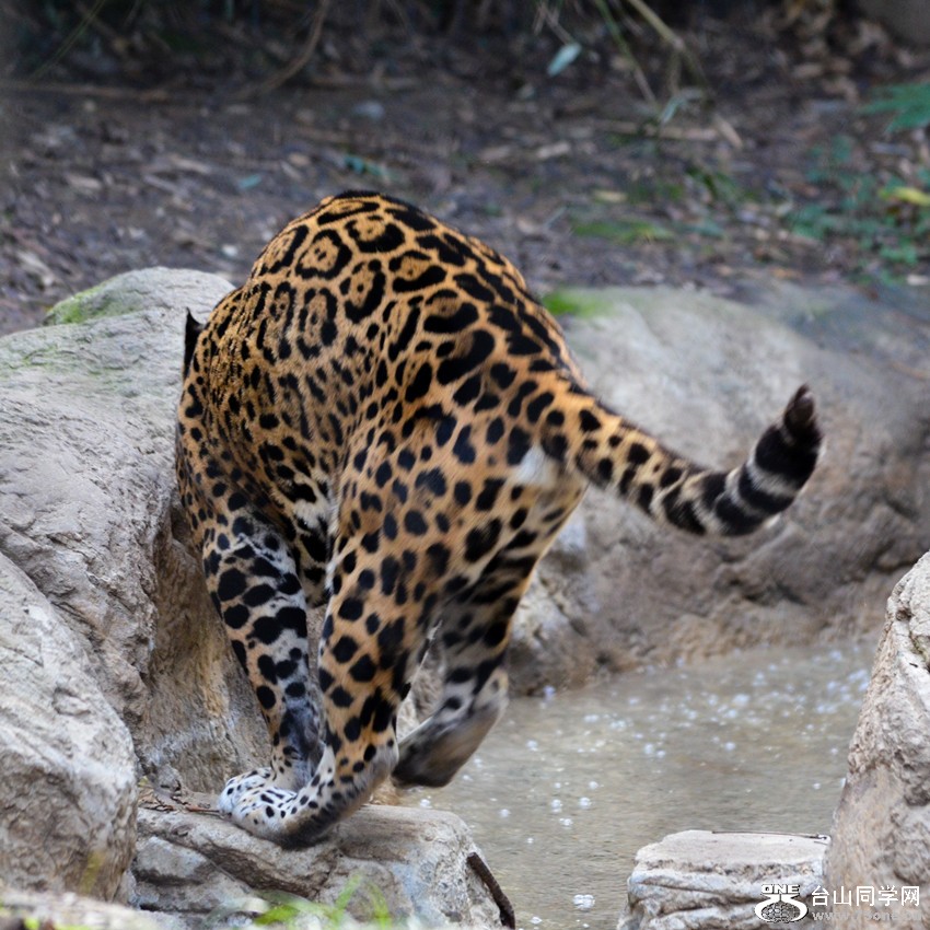 DSC_0393_8.jpg