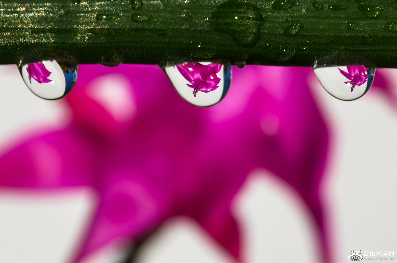 DSC_2388_78.jpg