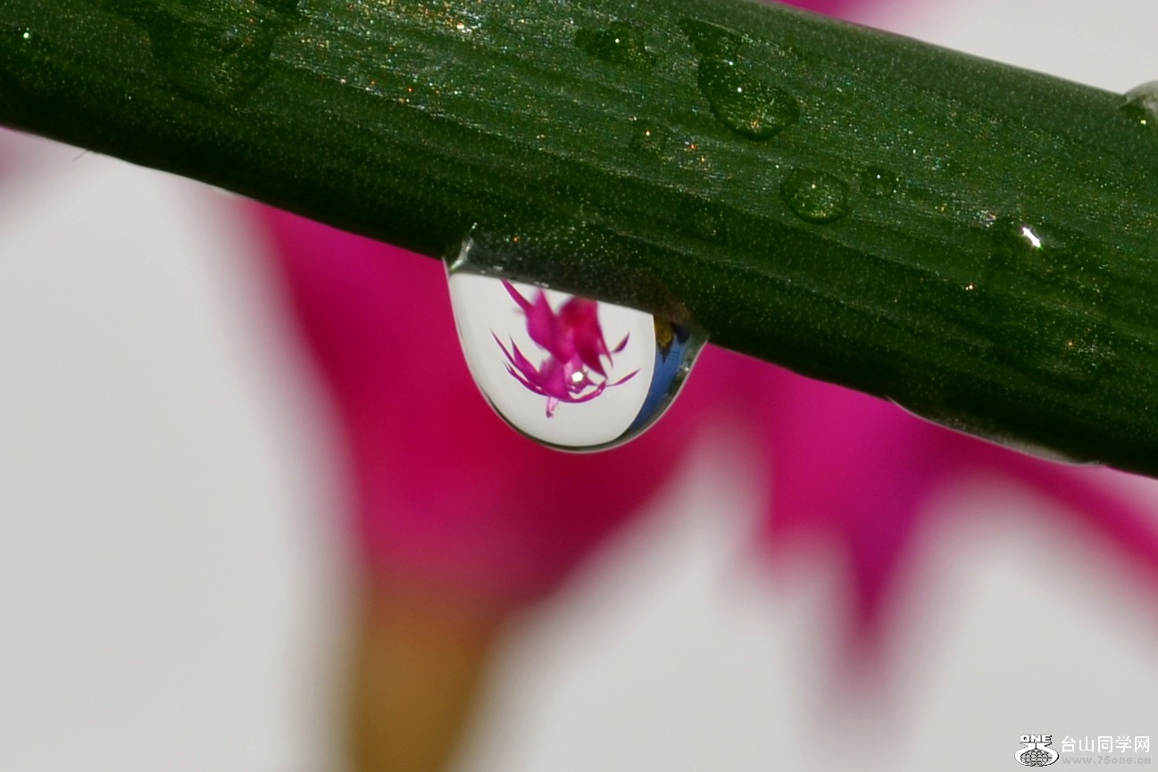 DSC_2347_008.jpg