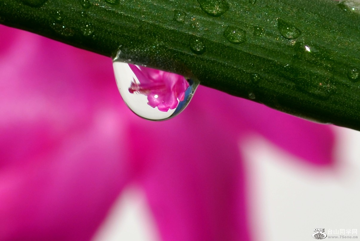 DSC_2356_08.jpg