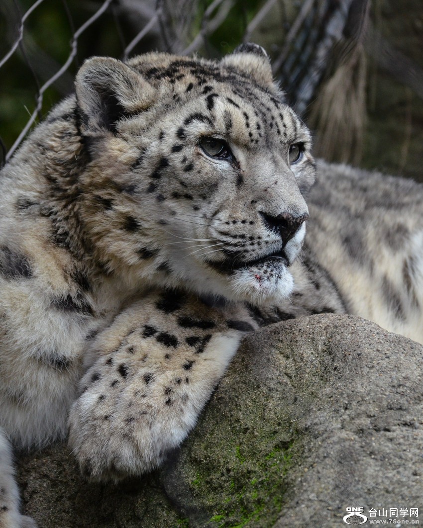 DSC_0469_57.jpg
