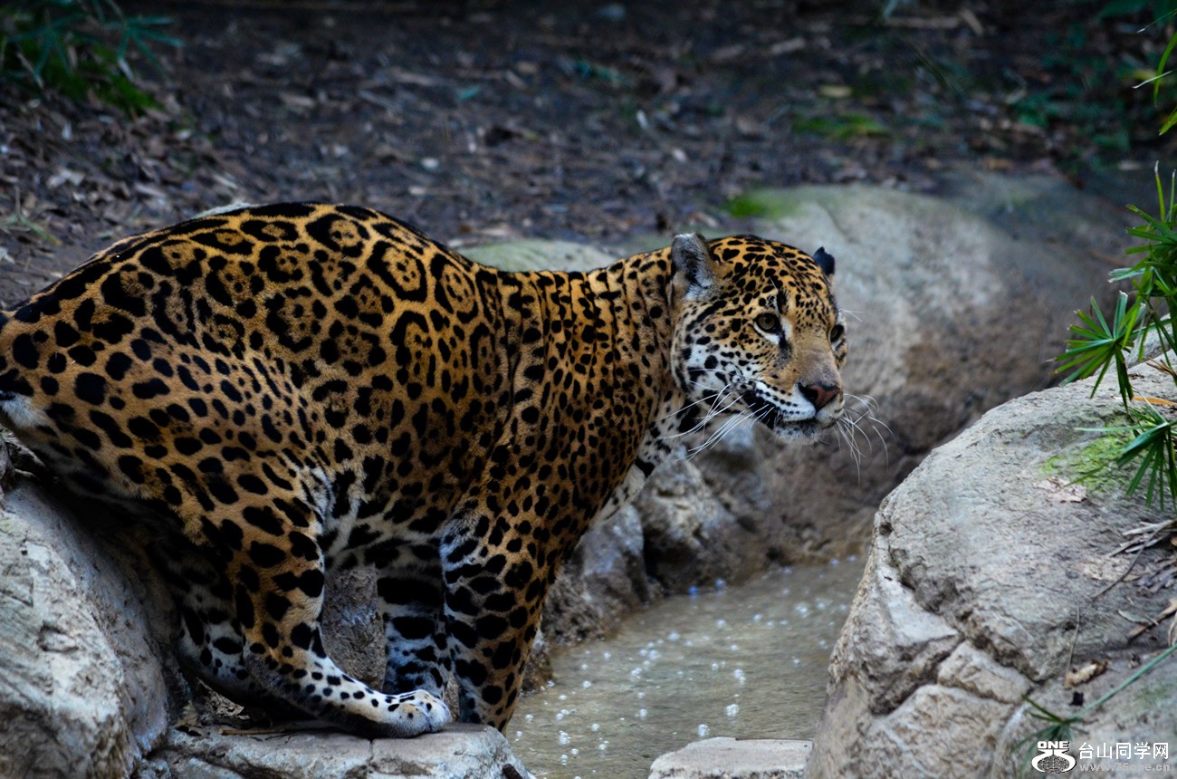 DSC_0469_26.jpg