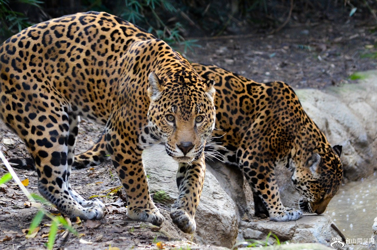 DSC_0409_9.jpg