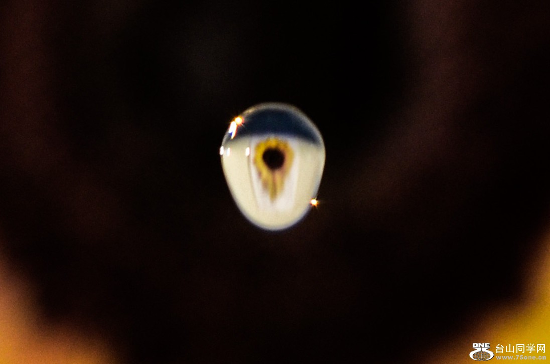 DSC_1833_009.jpg