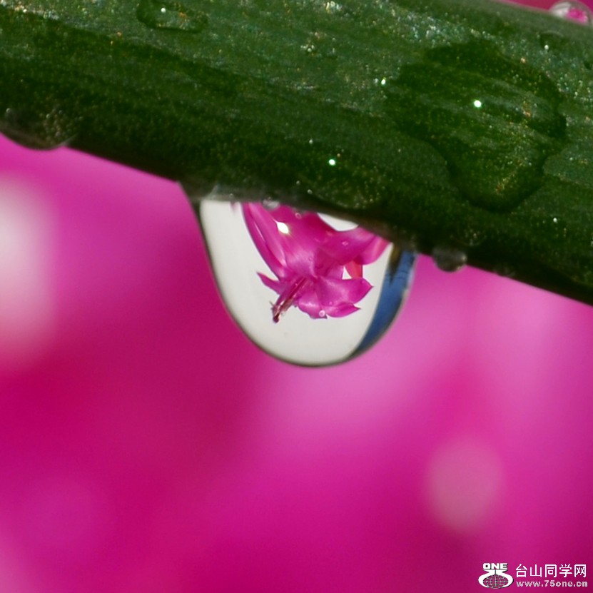 DSC_2386_332.jpg