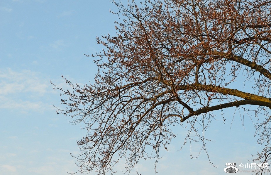 DSC_2564.JPG