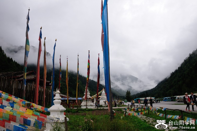 DSC_1290.jpg