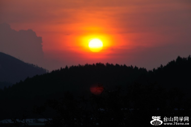 DSC_8383.jpg