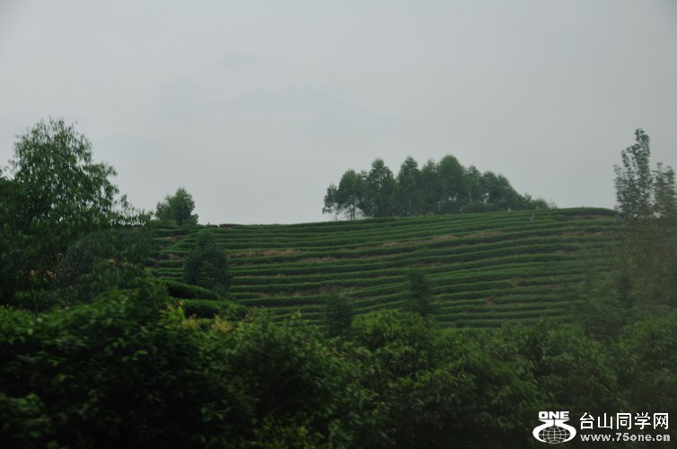 DSC_2466.jpg