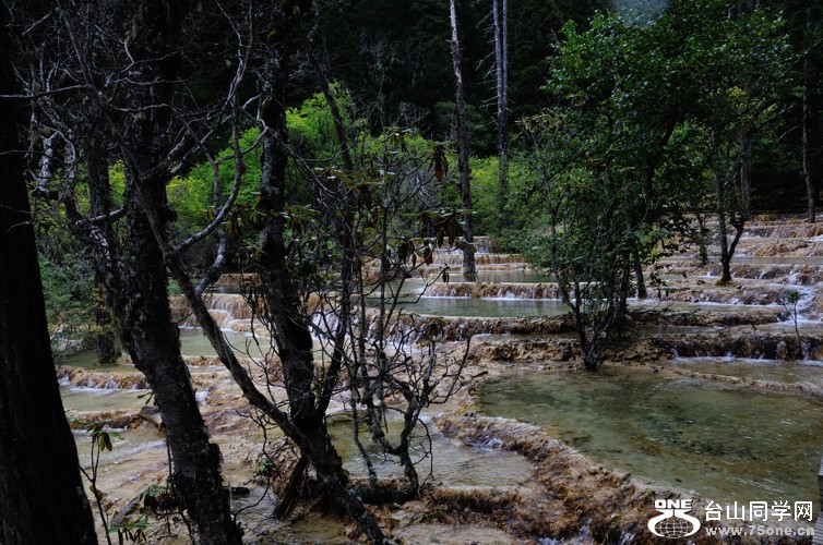 DSC_1746.jpg