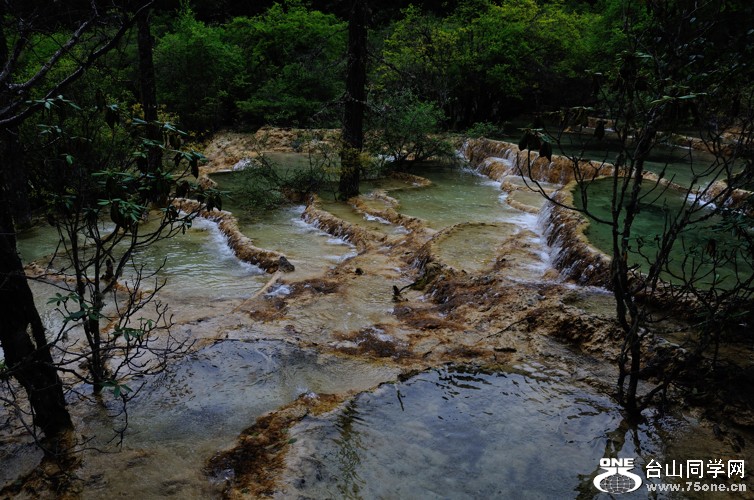 DSC_1747.jpg