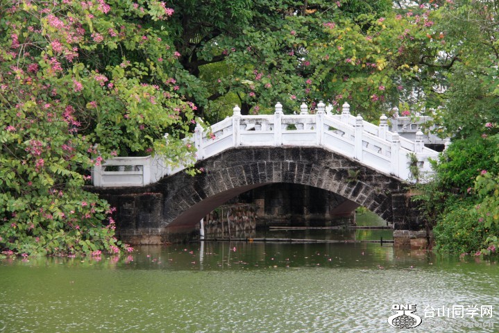 _MG_2183 (Small).JPG
