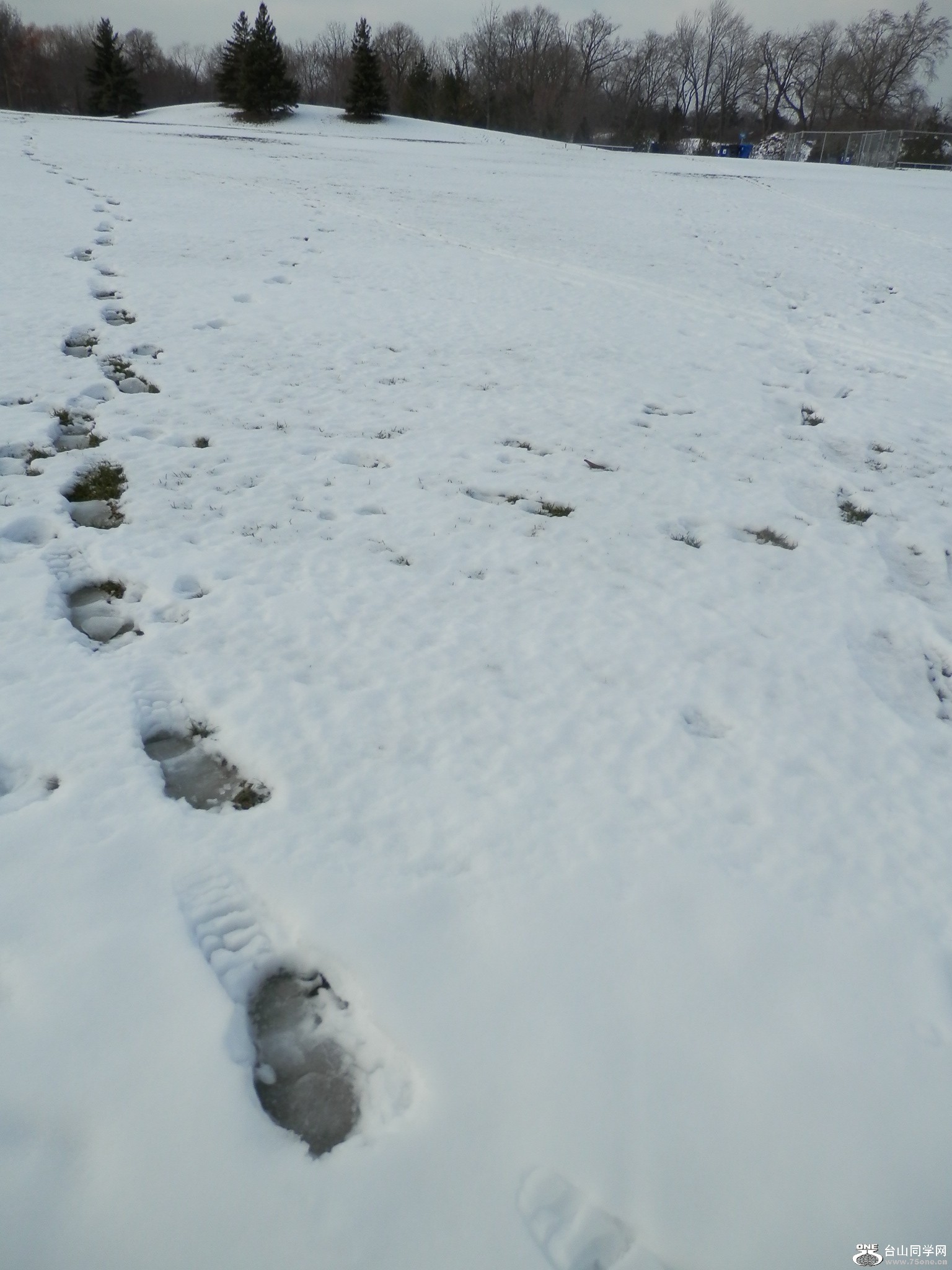 L 040.JPG